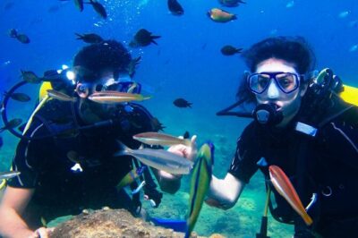 Professional Diver Two Stops Dives & Lunch, transfer–Hurghada - Two-stop underwater sessions: how the schedule actually feels