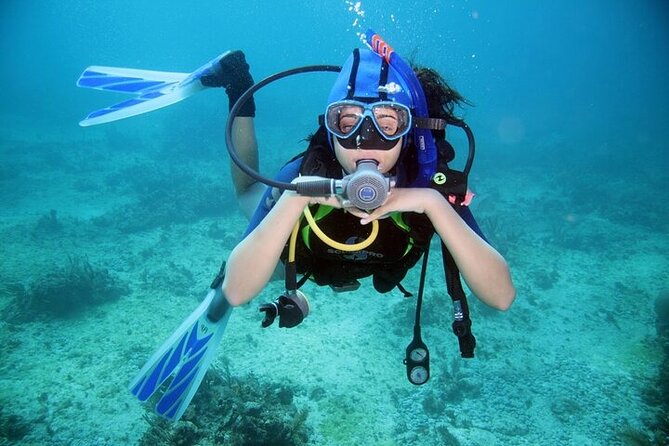 Professional Diver Two Stops Dives & Lunch, transfer–Hurghada - Price value: why a low base price still needs a small checklist