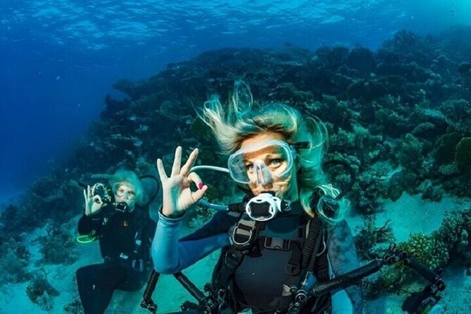 Professional Diver Two Stops Dives & Lunch, transfer–Hurghada - Reef time: what you’ll likely see under the surface
