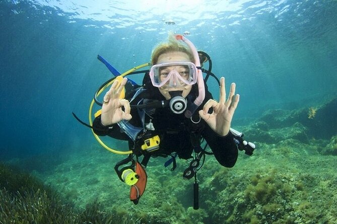 Professional Diver Two Stops Dives & Lunch, transfer–Hurghada - Who should book this Hurghada boat day (and who should pause)