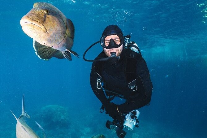 Professional Diver Two Stops Dives & Lunch, transfer–Hurghada - Should you book this two-stop scuba day?