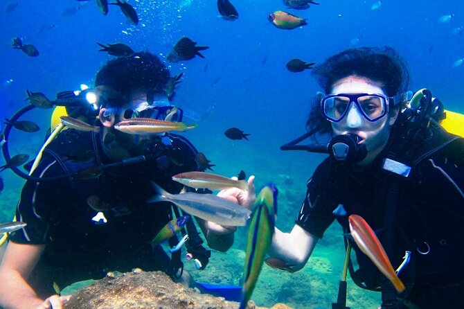 Professional Diver Two Stops Dives & Lunch, transfer–Hurghada - Two-stop underwater sessions: how the schedule actually feels