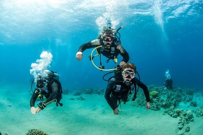 Professional Scuba Diving Boat Trip With Lunch and Transfer – Hurghada - Equipment, instruction, and safety: check it before you trust it