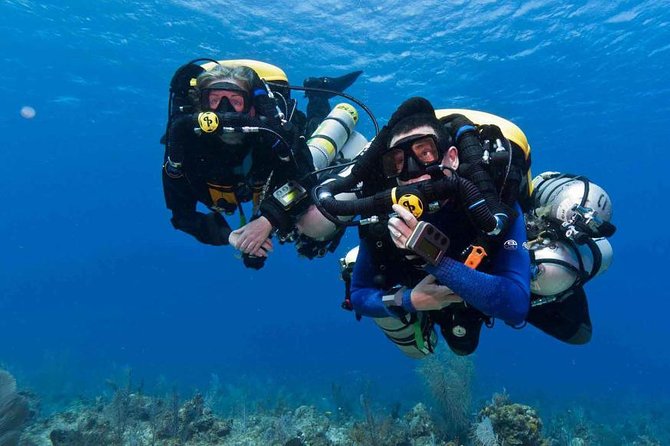 Professional Scuba Diving Boat Trip With Lunch and Transfer – Hurghada - Price and value: $28 looks great, then you budget for the add-ons