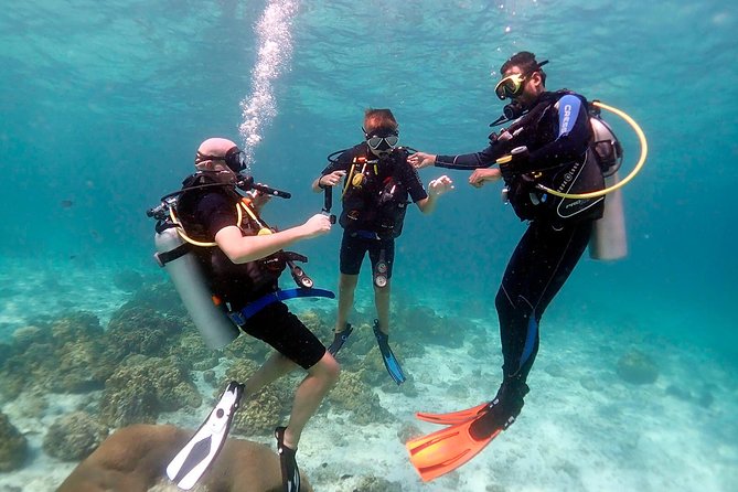 Professional Scuba Diving Full Day Trip With Transfer – Hurghada - Key Highlights You’ll Actually Care About