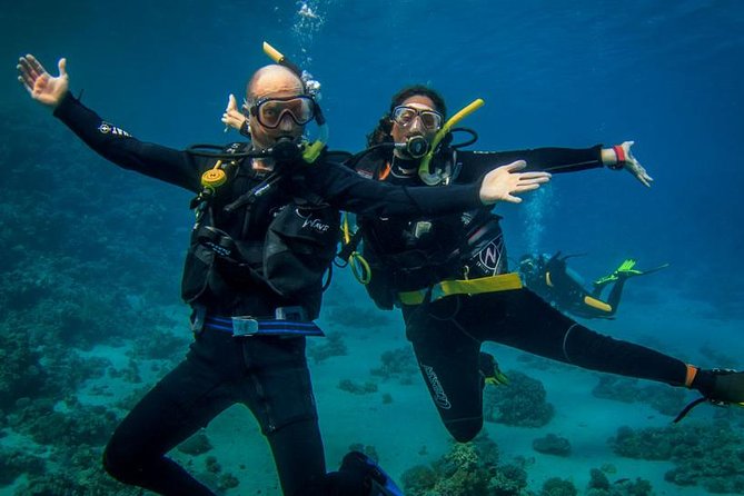 Professional Scuba Diving Full Day Trip With Transfer – Hurghada - Two Reef Stops for Colorful Fish and Coral
