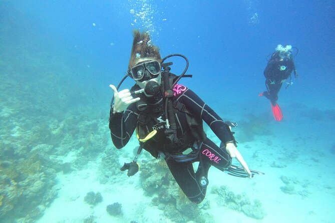 Professional Scuba Diving Trip in Hurghada with Lunch - The Day at a Glance: Pickup, Two Sessions, Back by 4:00