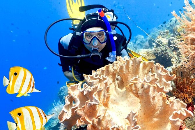 Professionals Scuba Diving 2 Stops Full Day Sea Trip - Hurghada - What the two underwater sessions include (and how to prep for them)
