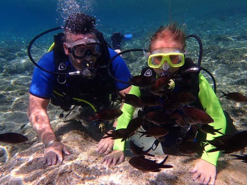 Protaras: Bubblemaker Diving Course & 2-Meter Dive - Hotel pickup and the short trip to the beach: easy logistics, fewer stress points