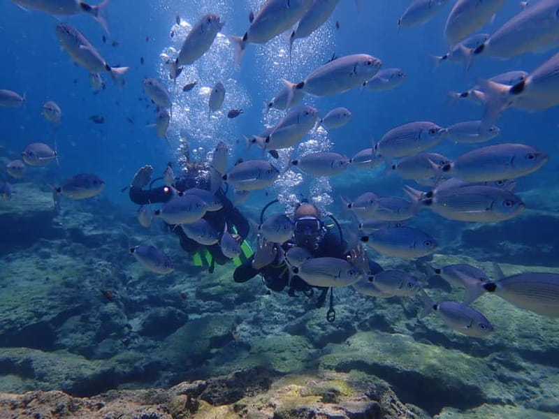 Protaras: Cape Grecko Single Dive for Qualified Divers - Cape Greco shore scuba: what makes this part of Cyprus special