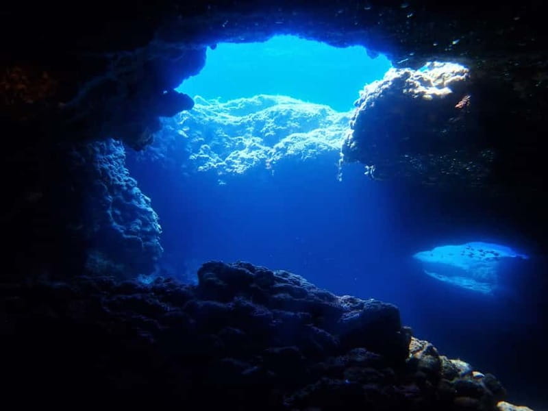 Protaras: Cape Grecko Single Dive for Qualified Divers - Who this fits best near Protaras and who should skip it