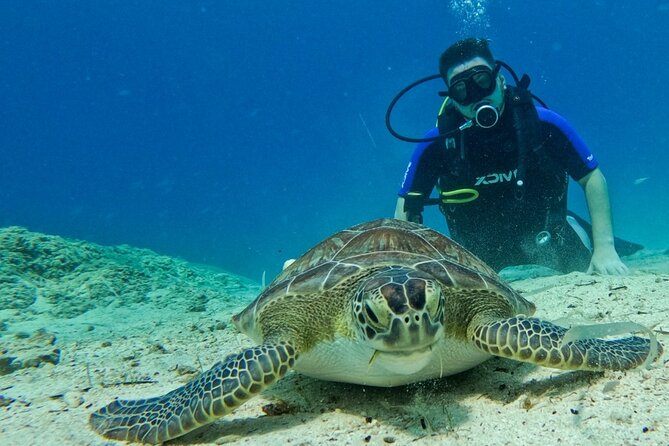 Protaras: Discover Scuba Diving For Beginners 2 Dives - Protaras Beginner Scuba Course: The Two-Session Formula That Makes Sense