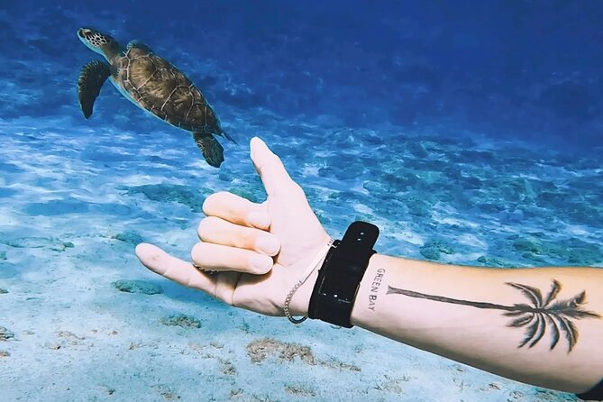 Protaras: Discover Scuba Diving For Beginners 2 Dives - Equipment, Underwater Photos, and the Kind of Coaching That Matters