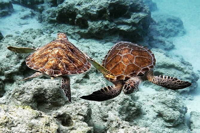 Protaras: Discover Scuba Diving For Beginners 2 Dives - Who This Protaras Program Fits Best (And Who Might Prefer Something Else)