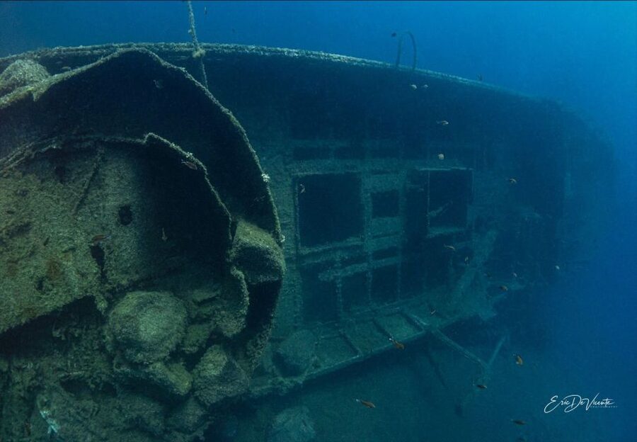 Puerto del Carmen: 2 Guided Scuba Dives (certified only) - Practical tips that make a real difference on dive day