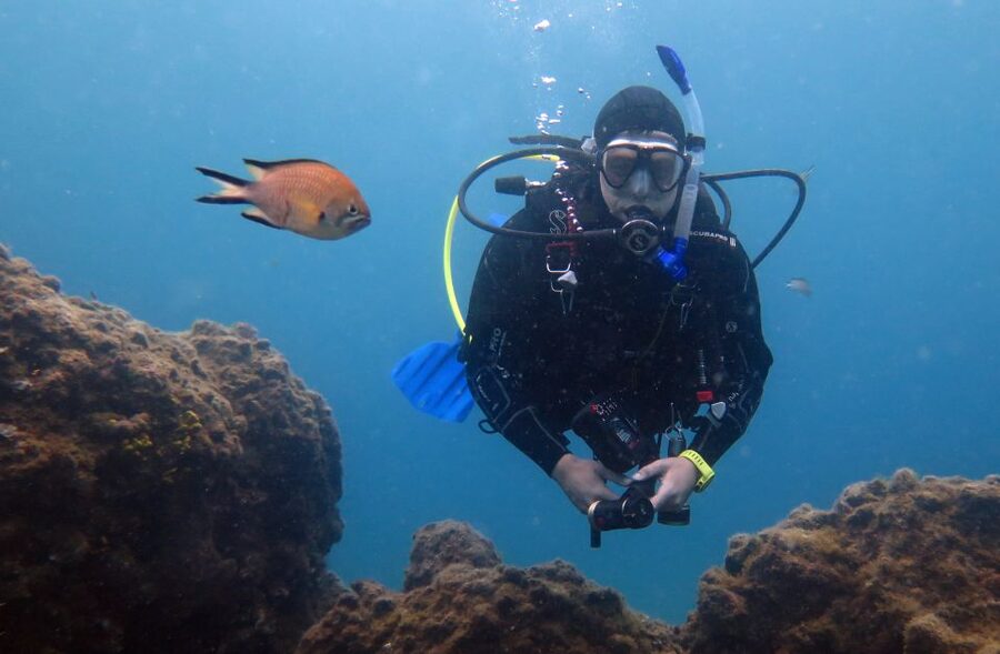 Puerto del Carmen: Guided Scuba Dive (certified only) - Where the Puerto del Carmen shoreline turns into real underwater wildlife