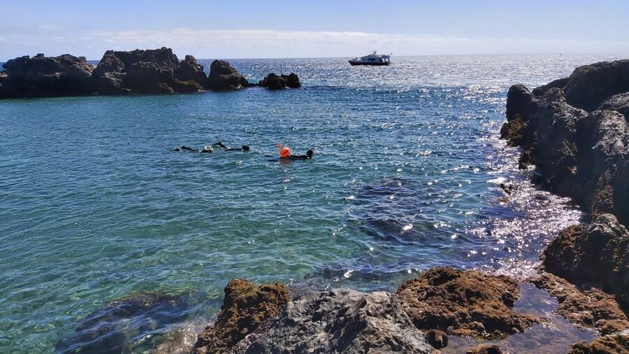 Puerto del Carmen: Snorkeling Trip with Dive Instructor - Who This Tour Fits Best in Puerto del Carmen