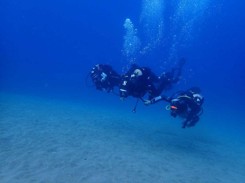 Puerto del Carmen: Try Scuba Diving from the beach - Key highlights from Playa Chica