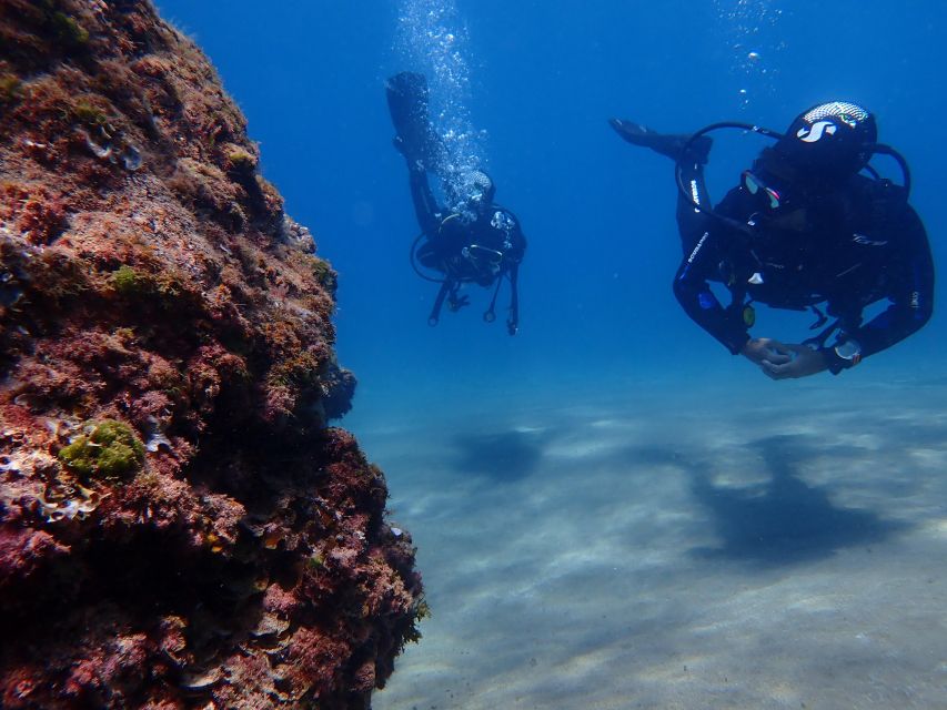 Puerto del Carmen: Try Scuba Diving from the beach - Who Should Book This vs Skip It