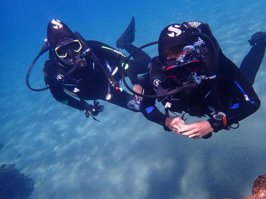 Puerto del Carmen: Try Scuba Diving from the beach - Equipment, Insurance, and the $118 Value