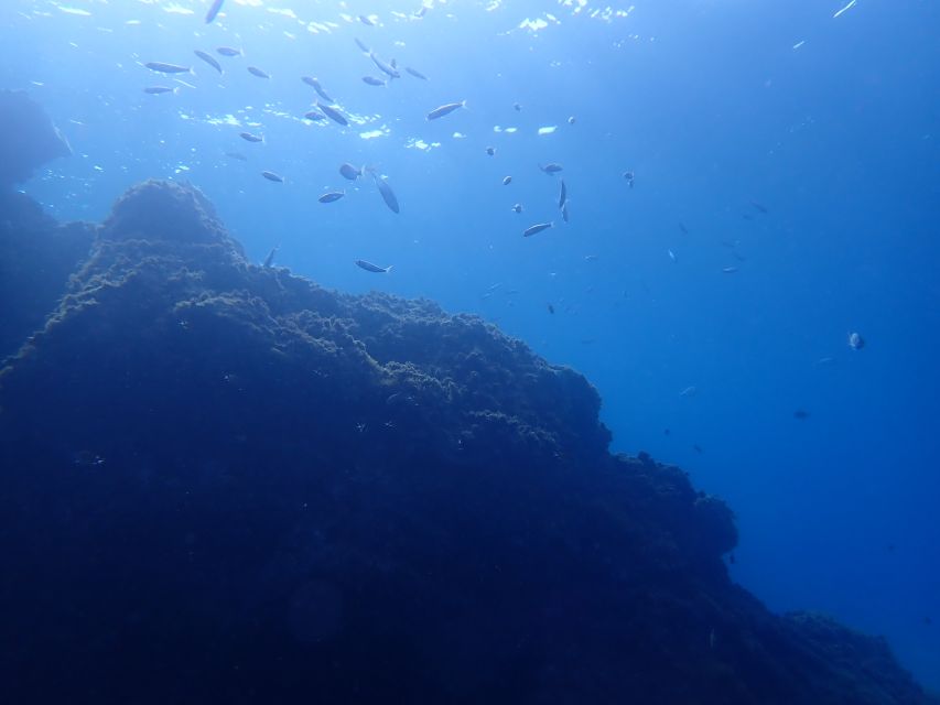 Puerto del Carmen: Try Scuba Diving from the beach - What to Bring (and What Not to Bring)