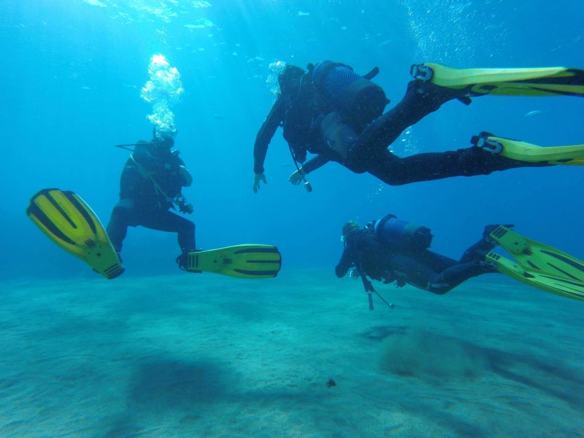 Puerto del Carmen: Try Scuba Diving with 1 Dive - Should You Book This Puerto del Carmen Scuba Session?