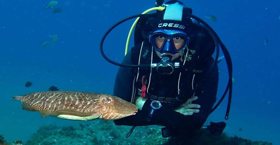 Puerto Del Carmen: Try Scuba Diving with 2 Dives and Photos - Key highlights you’ll feel the moment you arrive