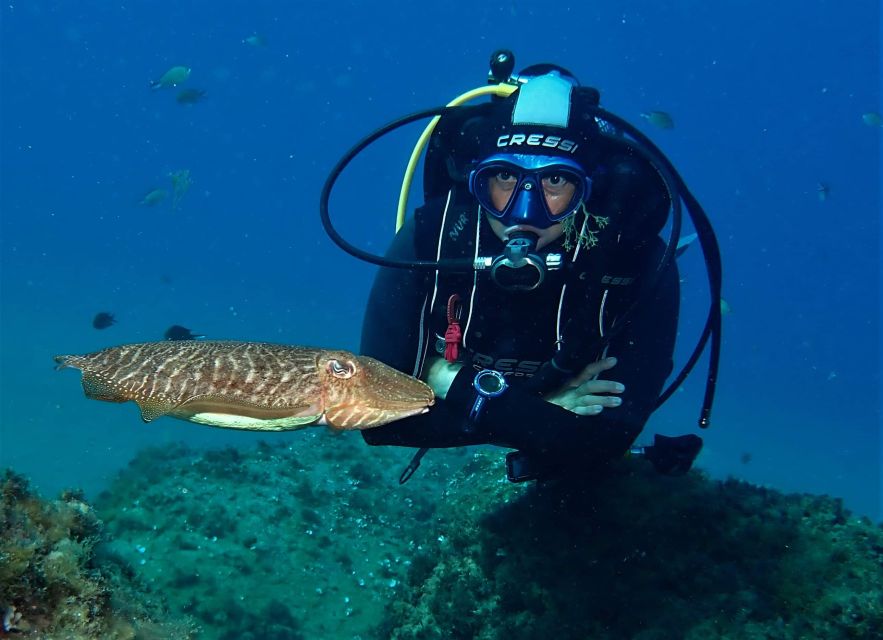 Puerto Del Carmen: Try Scuba Diving with 2 Dives and Photos - Lanzarote’s warm water and clear views: the real draw