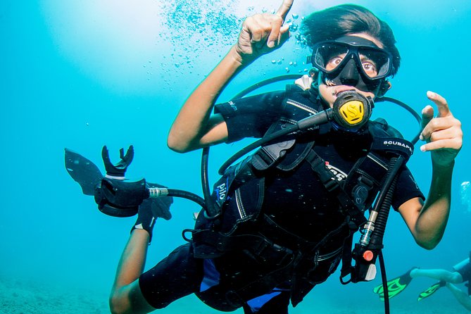 Puerto Vallarta Undersea Private Scuba Diving - Private Boat Logistics From Marina Vallarta (So You Don’t Lose Time)