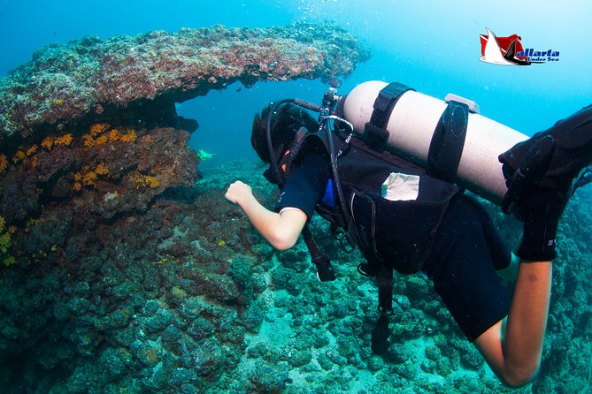 Puerto Vallarta Undersea Private Scuba Diving - Los Arcos de Mismaloya: Rocky Reef Scenery With Wildlife Odds