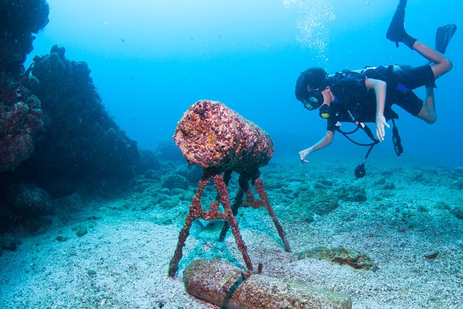 Puerto Vallarta Undersea Private Scuba Diving - Rocky Reefs and Changing Visibility: The Smart Way to Think About Conditions