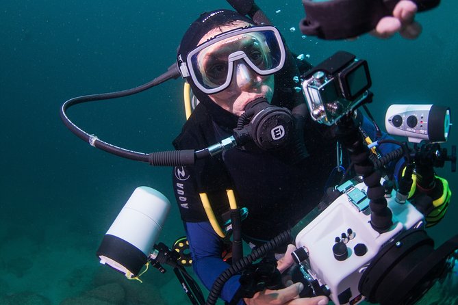 Puerto Vallarta Undersea Private Scuba Diving - How the Crew, Guides, and In-Water Attention Work