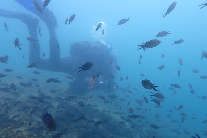 Pula Discover Scuba Diving Package - Entering Pula’s first-timer scuba world (without the certification pressure)