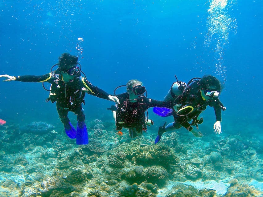 Pula: Introduction to Scuba Diving - Getting Started at Orca Center in Verudela (What Happens Before You Go In)