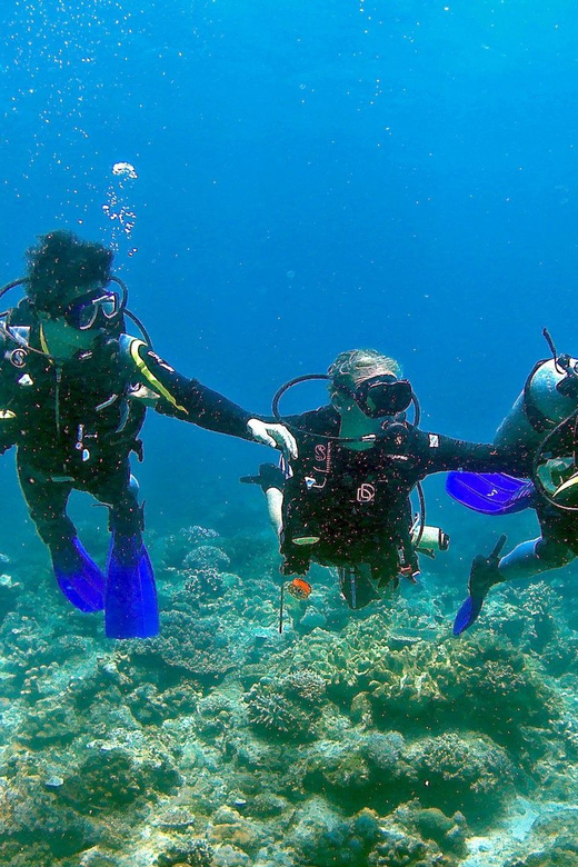 Pula: Introduction to Scuba Diving - Gear, Comfort, and the Details That Affect Your Confidence