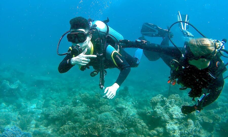Pula: Introduction to Scuba Diving - Price and Value: Is $100 Worth It for an Intro Course?