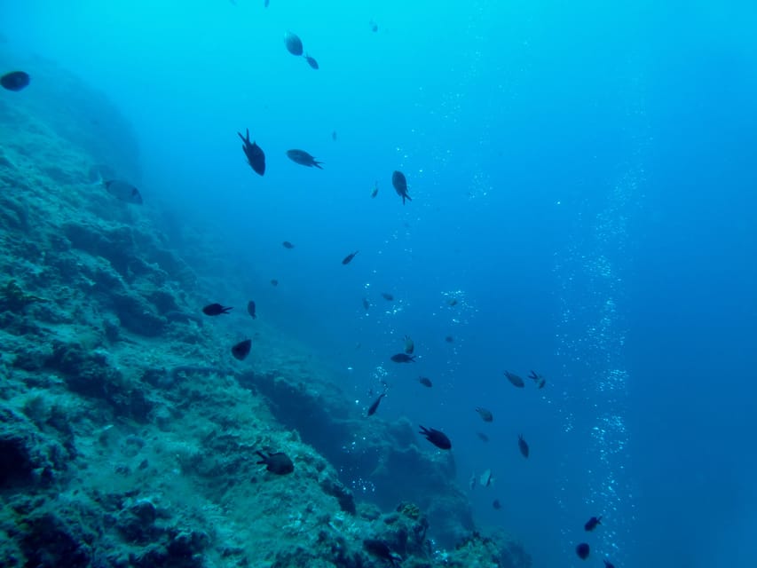 Pula: Introduction to Scuba Diving - Weather and Timing: What Can Change on the Day