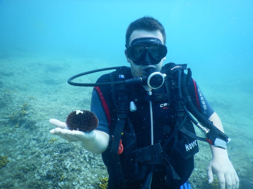 Pula: Private Introduction to Scuba Diving - Who should book this—and who should think twice