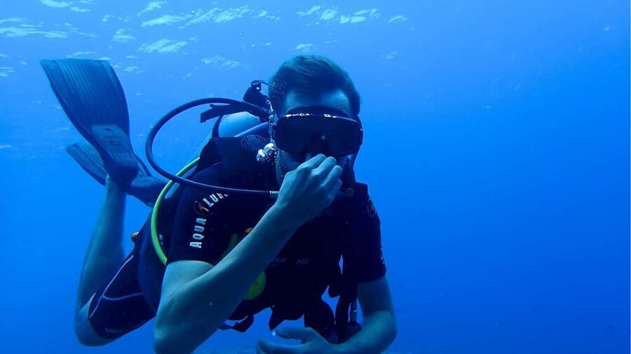 Punta Cana: Dive the Coral Paradise of Catalina Island - El Muro Wall: Scuba Time, Depth Limits, and What You’ll Actually Need