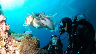 Punta Cana: Dive the Coral Paradise of Catalina Island - Getting There From Punta Cana: The 10.5-Hour Day in Plain English