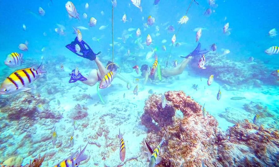 Punta Cana: Guided Power Dive Adventure - Punta Cana’s easy underwater day: what makes it tick