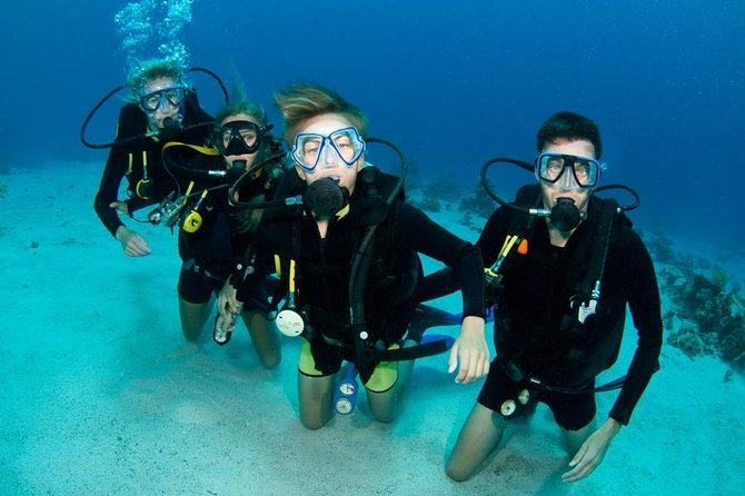 Punta Cana: PADI Open Water Scuba Certification (2–3 Days) - Quick Hits (What I’d Plan Around)