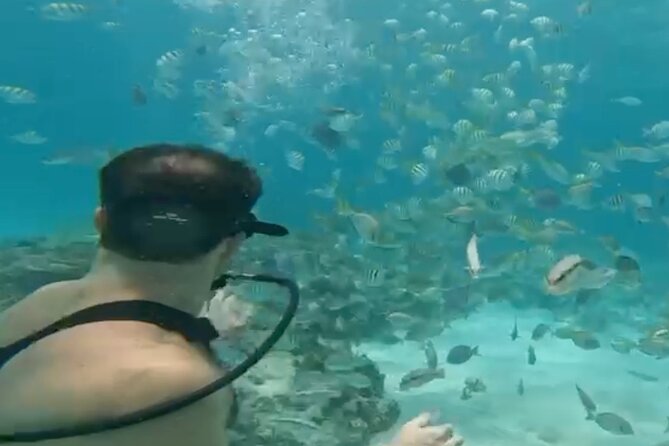 Punta Cana Party Cruise with Snorkeling, Hooka Diving and Parasailing - From hotel pickup to Los Corales beach: your 2:00 pm game plan