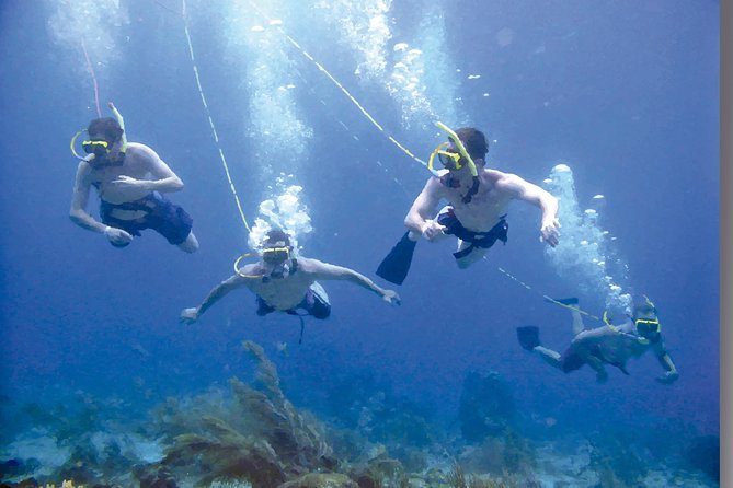 Punta Cana Party Cruise with Snorkeling, Hooka Diving and Parasailing - Hooka setup for beginners: easy in theory, practice helps