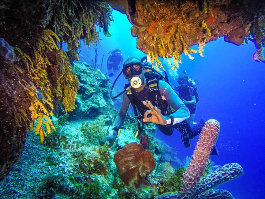 Punta Cana: Reef Diving Adventure Explore Underwater Wonders - The Power-Style Descent and Gear Check: Why This Setup Matters