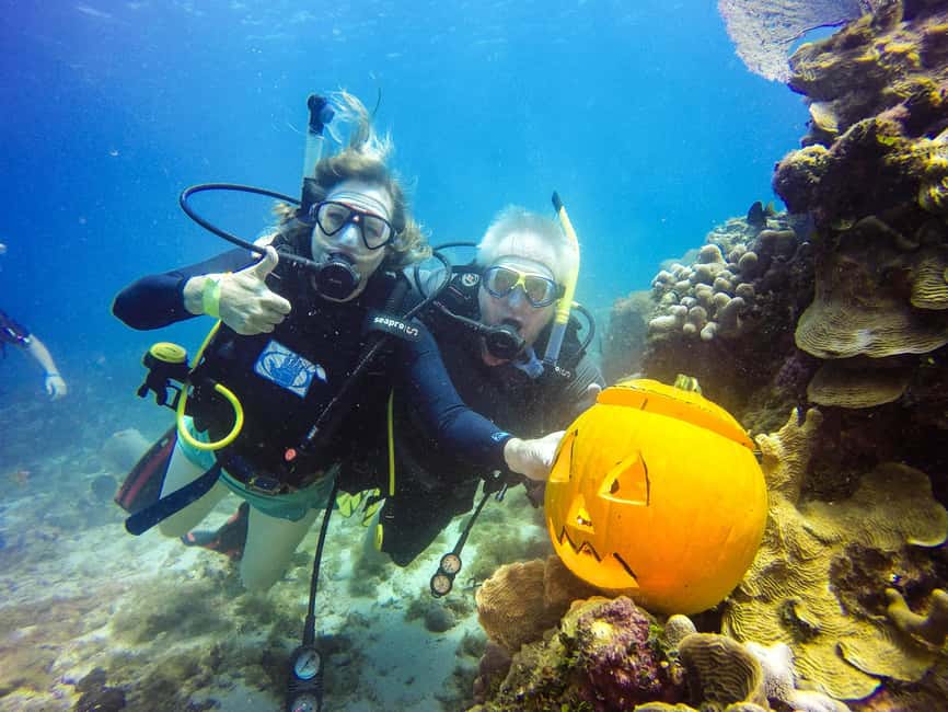 Punta Cana: Scuba Diving Adventure to Catalina Island - Key highlights you’ll actually care about