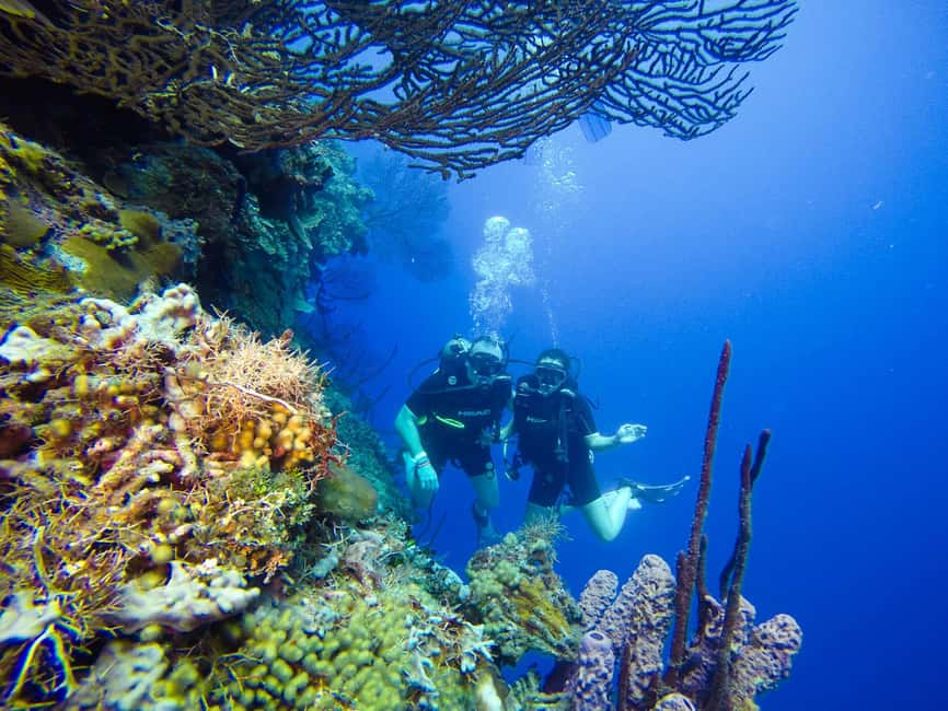 Punta Cana: Scuba Diving Adventure to Catalina Island - Timeline that makes sense: how the schedule feels in real life