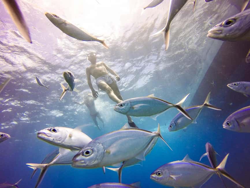 Punta Cana: Scuba Diving Adventure to Catalina Island - Who this trip is best for (and who should skip it)