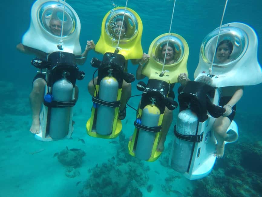 Punta Cana: Scuba Doo Adventure with Round-Trip Transfer - The reefs: what marine life you can realistically expect