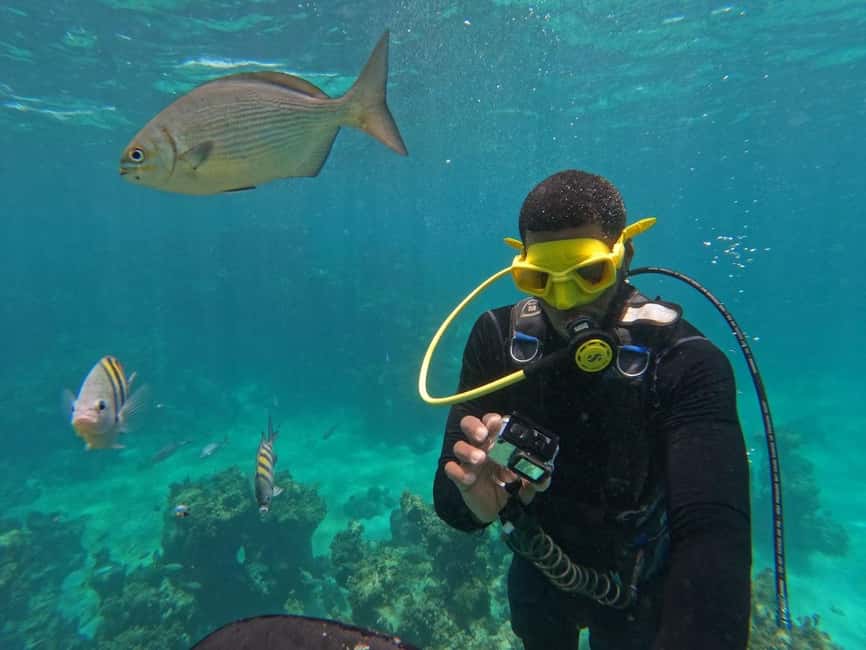 Punta Cana: Scuba Doo Adventure with Round-Trip Transfer - Small practical tips so your day runs smoother
